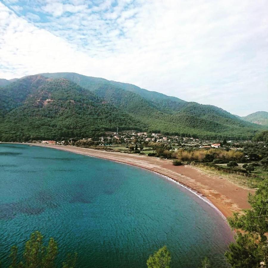 Olive Tree Apart Hotel Muğla Kültér fotó