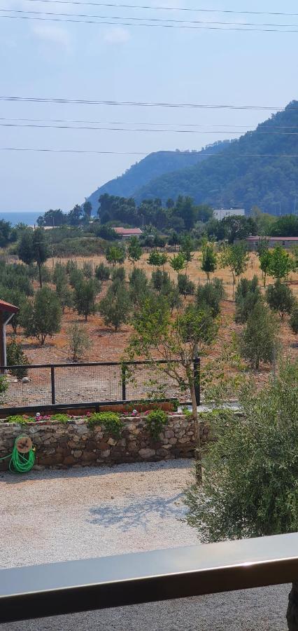Olive Tree Apart Hotel Muğla Kültér fotó