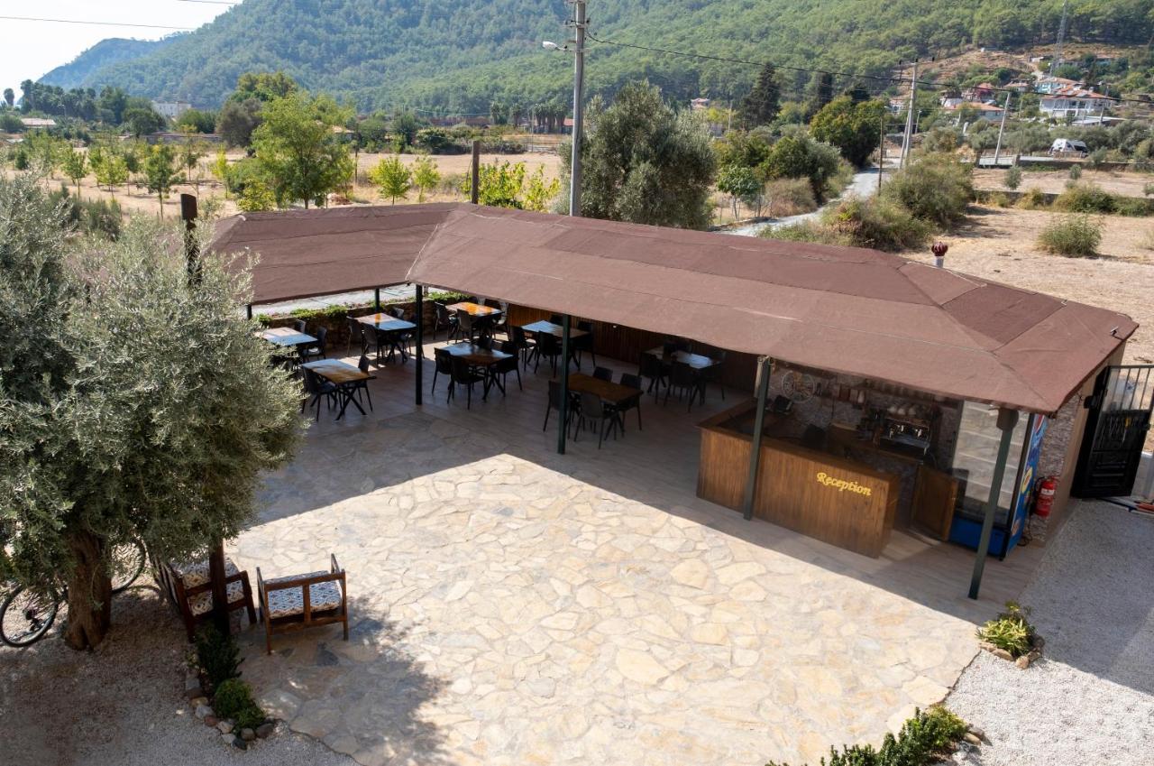 Olive Tree Apart Hotel Muğla Kültér fotó